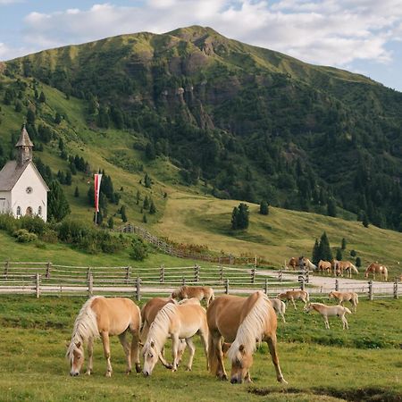 Zallinger Dolomites Alpe Di Siusi Dış mekan fotoğraf
