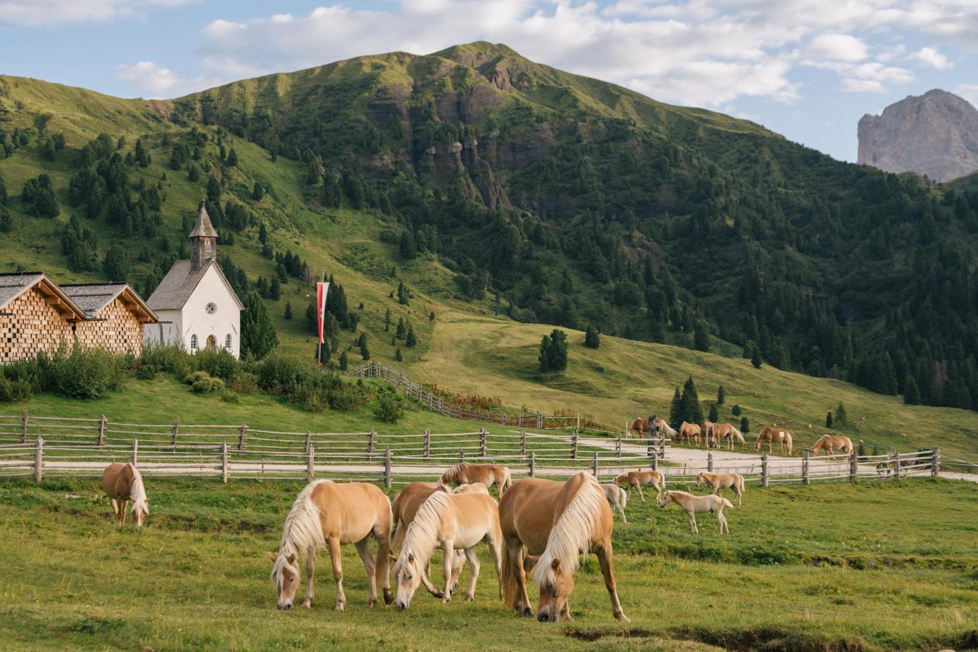 Zallinger Dolomites Alpe Di Siusi Dış mekan fotoğraf